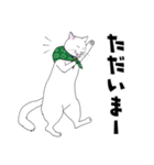 しろネコ もん助（個別スタンプ：6）