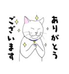 しろネコ もん助（個別スタンプ：8）