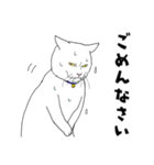 しろネコ もん助（個別スタンプ：9）