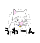 しろネコ もん助（個別スタンプ：10）
