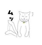 しろネコ もん助（個別スタンプ：11）