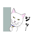 しろネコ もん助（個別スタンプ：17）
