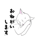 しろネコ もん助（個別スタンプ：20）