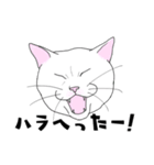 しろネコ もん助（個別スタンプ：24）