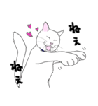 しろネコ もん助（個別スタンプ：27）
