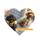 Emma＆TIAMOのHAPPY LIFE（個別スタンプ：1）