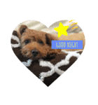 Emma＆TIAMOのHAPPY LIFE（個別スタンプ：2）