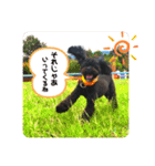 Emma＆TIAMOのHAPPY LIFE（個別スタンプ：3）