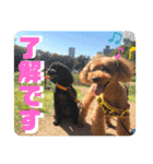 Emma＆TIAMOのHAPPY LIFE（個別スタンプ：4）