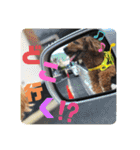 Emma＆TIAMOのHAPPY LIFE（個別スタンプ：5）