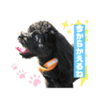 Emma＆TIAMOのHAPPY LIFE（個別スタンプ：6）