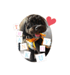 Emma＆TIAMOのHAPPY LIFE（個別スタンプ：7）