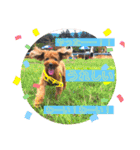 Emma＆TIAMOのHAPPY LIFE（個別スタンプ：8）