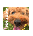 Emma＆TIAMOのHAPPY LIFE（個別スタンプ：10）
