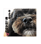 Emma＆TIAMOのHAPPY LIFE（個別スタンプ：11）