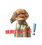 Emma＆TIAMOのHAPPY LIFE（個別スタンプ：12）