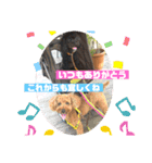 Emma＆TIAMOのHAPPY LIFE（個別スタンプ：13）