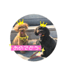 Emma＆TIAMOのHAPPY LIFE（個別スタンプ：14）