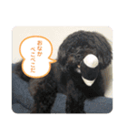 Emma＆TIAMOのHAPPY LIFE（個別スタンプ：15）