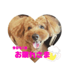 Emma＆TIAMOのHAPPY LIFE（個別スタンプ：16）