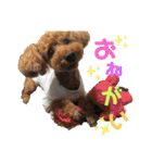 Emma＆TIAMOのHAPPY LIFE（個別スタンプ：21）