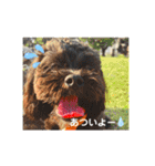 Emma＆TIAMOのHAPPY LIFE（個別スタンプ：22）