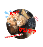 Emma＆TIAMOのHAPPY LIFE（個別スタンプ：23）