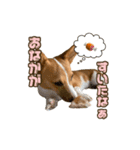 うにといくら（個別スタンプ：2）