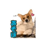 うにといくら（個別スタンプ：7）