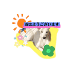 大きくなったみるくちゃん（個別スタンプ：2）