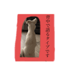 大きくなったみるくちゃん（個別スタンプ：12）