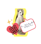 大きくなったみるくちゃん（個別スタンプ：21）