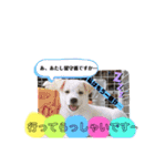 大きくなったみるくちゃん（個別スタンプ：23）