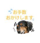くぅさん by晩ママ（個別スタンプ：14）