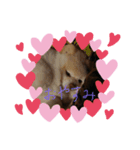モカちゃんLOVE（個別スタンプ：3）