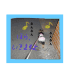 ヨーキーのひまわり2（個別スタンプ：11）