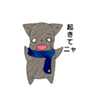 青いマフラー猫（個別スタンプ：4）