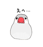 シルバー文鳥（個別スタンプ：1）