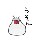 シルバー文鳥（個別スタンプ：4）