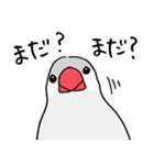 シルバー文鳥（個別スタンプ：5）