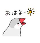 シルバー文鳥（個別スタンプ：7）