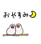シルバー文鳥（個別スタンプ：8）