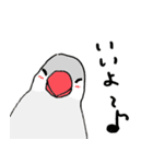 シルバー文鳥（個別スタンプ：9）