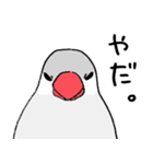 シルバー文鳥（個別スタンプ：16）