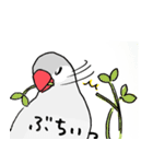 シルバー文鳥（個別スタンプ：21）