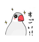 シルバー文鳥（個別スタンプ：29）