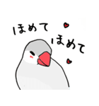 シルバー文鳥（個別スタンプ：30）