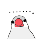 シルバー文鳥（個別スタンプ：36）