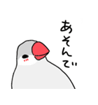 シルバー文鳥（個別スタンプ：39）