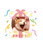 可愛いスミレちゃん（個別スタンプ：5）